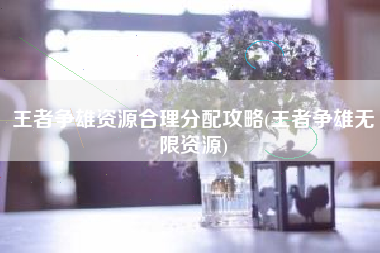 王者争雄资源合理分配攻略(王者争雄无限资源) 王者争雄资源合理分配攻略(王者争雄无限资源)