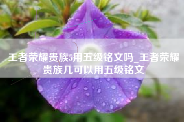 王者荣耀贵族5用五级铭文吗_王者荣耀贵族几可以用五级铭文