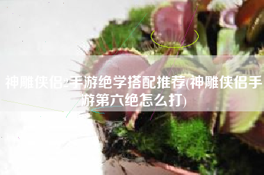 神雕侠侣2手游绝学搭配推荐(神雕侠侣手游第六绝怎么打)