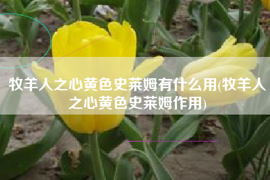 牧羊人之心黄色史莱姆有什么用(牧羊人之心黄色史莱姆作用)