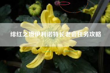 绯红之境伊利诺特长老会任务攻略