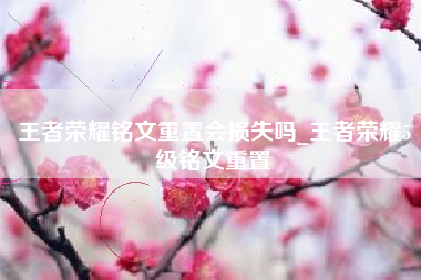 王者荣耀铭文重置会损失吗_王者荣耀5级铭文重置