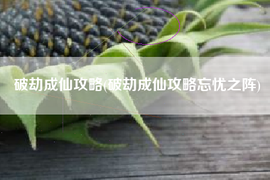 破劫成仙攻略(破劫成仙攻略忘忧之阵)