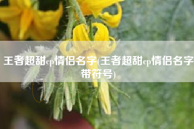 王者超甜cp情侣名字(王者超甜cp情侣名字带符号)
