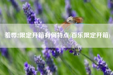 羞辱2限定开箱有何特点(百乐限定开箱)