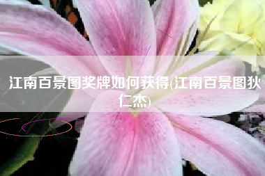 江南百景图奖牌如何获得(江南百景图狄仁杰)