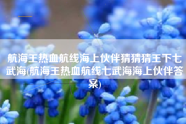 航海王热血航线海上伙伴猜猜猜王下七武海(航海王热血航线七武海海上伙伴答案)