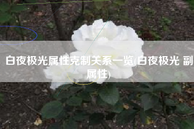 白夜极光属性克制关系一览(白夜极光 副属性)