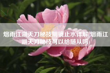 烟雨江湖天刀秘技明镜止水详解(烟雨江湖天刀秘技可以给随从吗)