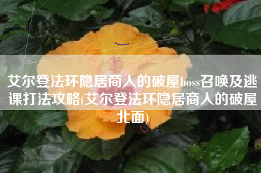艾尔登法环隐居商人的破屋boss召唤及逃课打法攻略(艾尔登法环隐居商人的破屋北面)