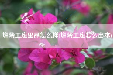燃烧王座里昂怎么样(燃烧王座怎么出本)