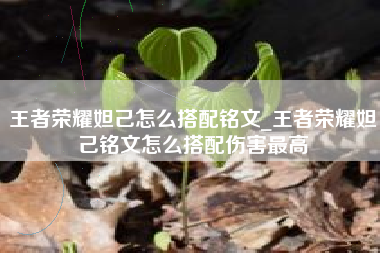 王者荣耀妲己怎么搭配铭文_王者荣耀妲己铭文怎么搭配伤害最高
