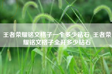 王者荣耀铭文格子一个多少钻石_王者荣耀铭文格子全开多少钻石
