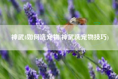 神武4如何洗宠物(神武洗宠物技巧)