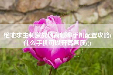 绝地求生刺激战场高帧率手机配置攻略(什么手机可以开高画质())