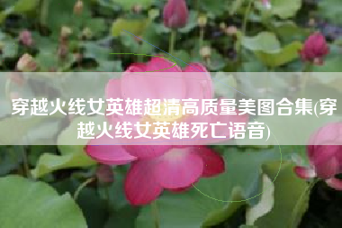 穿越火线女英雄超清高质量美图合集(穿越火线女英雄死亡语音)