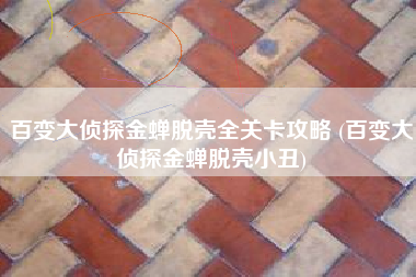 百变大侦探金蝉脱壳全关卡攻略 (百变大侦探金蝉脱壳小丑)
