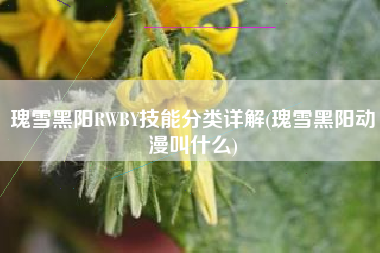 瑰雪黑阳RWBY技能分类详解(瑰雪黑阳动漫叫什么)