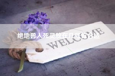 绝地兽人死灵放在几号位合适