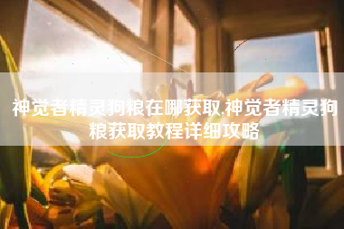 神觉者精灵狗粮在哪获取,神觉者精灵狗粮获取教程详细攻略