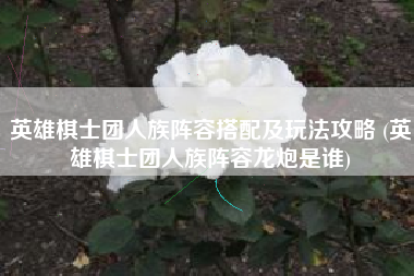 英雄棋士团人族阵容搭配及玩法攻略 (英雄棋士团人族阵容龙炮是谁)