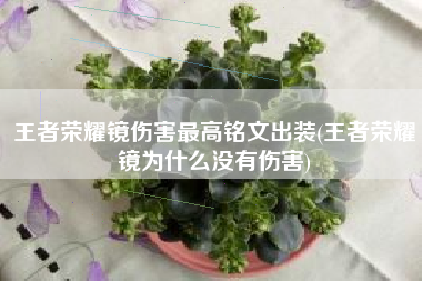 王者荣耀镜伤害最高铭文出装(王者荣耀镜为什么没有伤害)