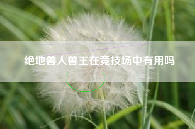 绝地兽人兽王在竞技场中有用吗