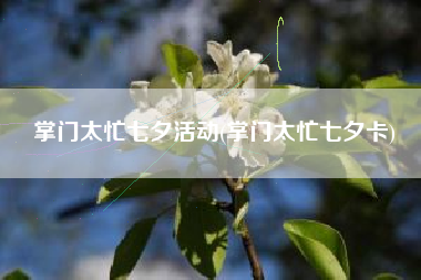 掌门太忙七夕活动(掌门太忙七夕卡)