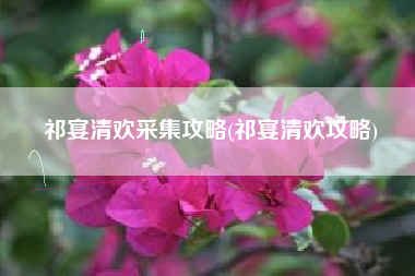 祁宴清欢采集攻略(祁宴清欢攻略)