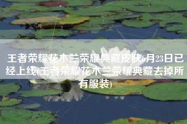 王者荣耀花木兰荣耀典藏皮肤6月23日已经上线(王者荣耀花木兰荣耀典藏去掉所有服装)