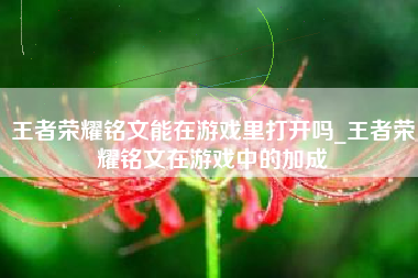 王者荣耀铭文能在游戏里打开吗_王者荣耀铭文在游戏中的加成