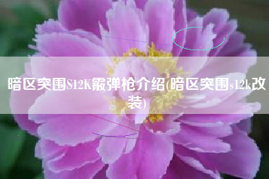 暗区突围S12K霰弹枪介绍(暗区突围s12k改装)