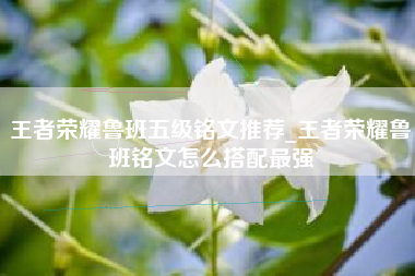 王者荣耀鲁班五级铭文推荐_王者荣耀鲁班铭文怎么搭配最强