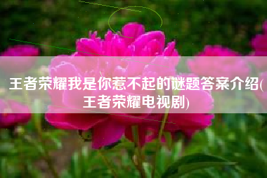 王者荣耀我是你惹不起的谜题答案介绍(王者荣耀电视剧)