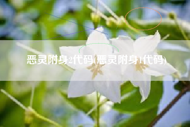 恶灵附身2代码(恶灵附身1代码)