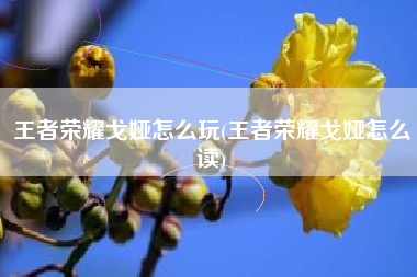 王者荣耀戈娅怎么玩(王者荣耀戈娅怎么读)