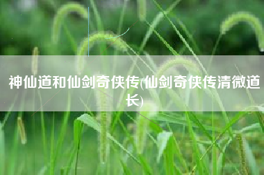神仙道和仙剑奇侠传(仙剑奇侠传清微道长)