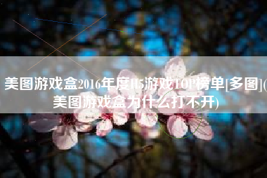 美图游戏盒2016年度H5游戏TOP榜单[多图](美图游戏盒为什么打不开)