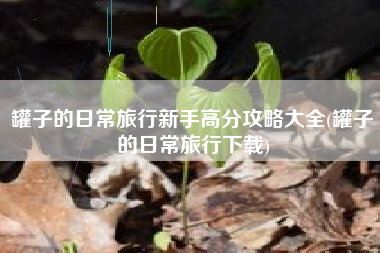 罐子的日常旅行新手高分攻略大全(罐子的日常旅行下载)