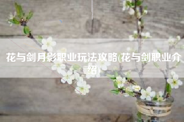 花与剑月影职业玩法攻略(花与剑职业介绍)
