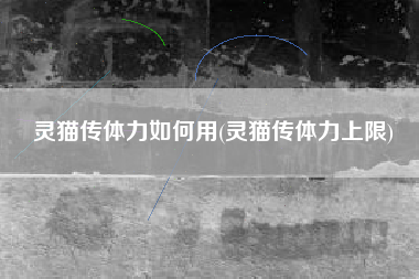 灵猫传体力如何用(灵猫传体力上限)