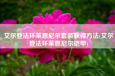 艾尔登法环莱恩尼尔套装获得方法(艾尔登法环莱恩尼尔铠甲)