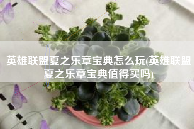 英雄联盟夏之乐章宝典怎么玩(英雄联盟夏之乐章宝典值得买吗)