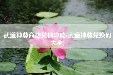 武道神尊商店兑换攻略(武道神尊兑换码大全)