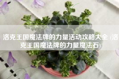 洛克王国魔法牌的力量活动攻略大全 (洛克王国魔法牌的力量魔法石)