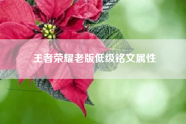 王者荣耀老版低级铭文属性