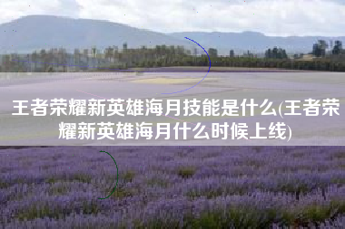 王者荣耀新英雄海月技能是什么(王者荣耀新英雄海月什么时候上线)