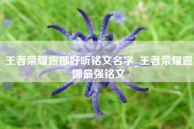 王者荣耀露娜好听铭文名字_王者荣耀露娜最强铭文