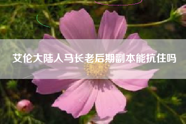艾伦大陆人马长老后期副本能抗住吗