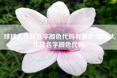 球球大作战名字颜色代码有哪些(球球大作战名字颜色代码)